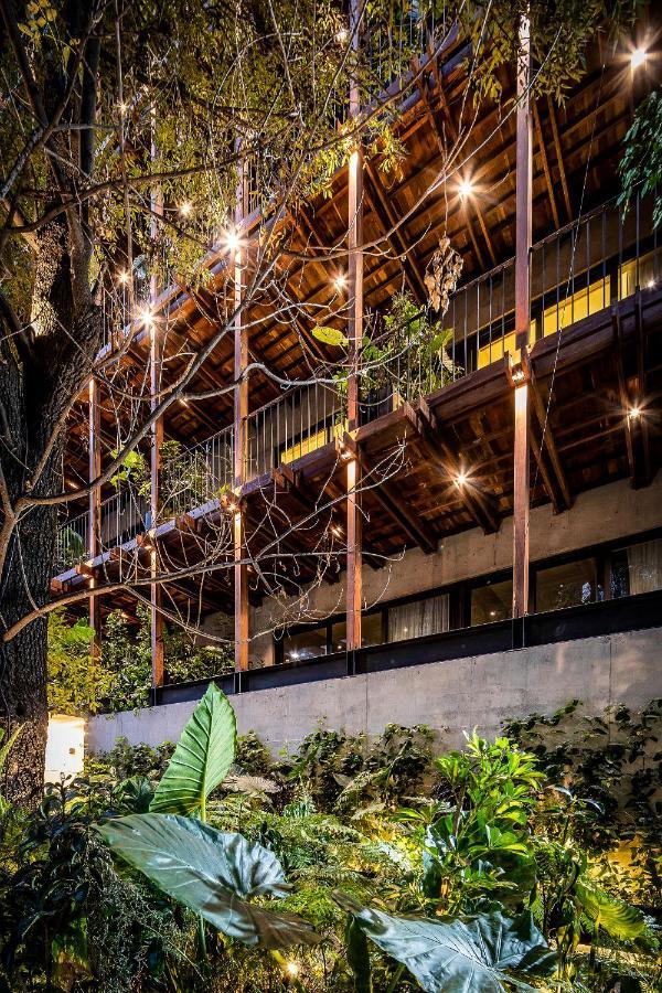 Ana Polanco Apartments Mexico City Exterior photo